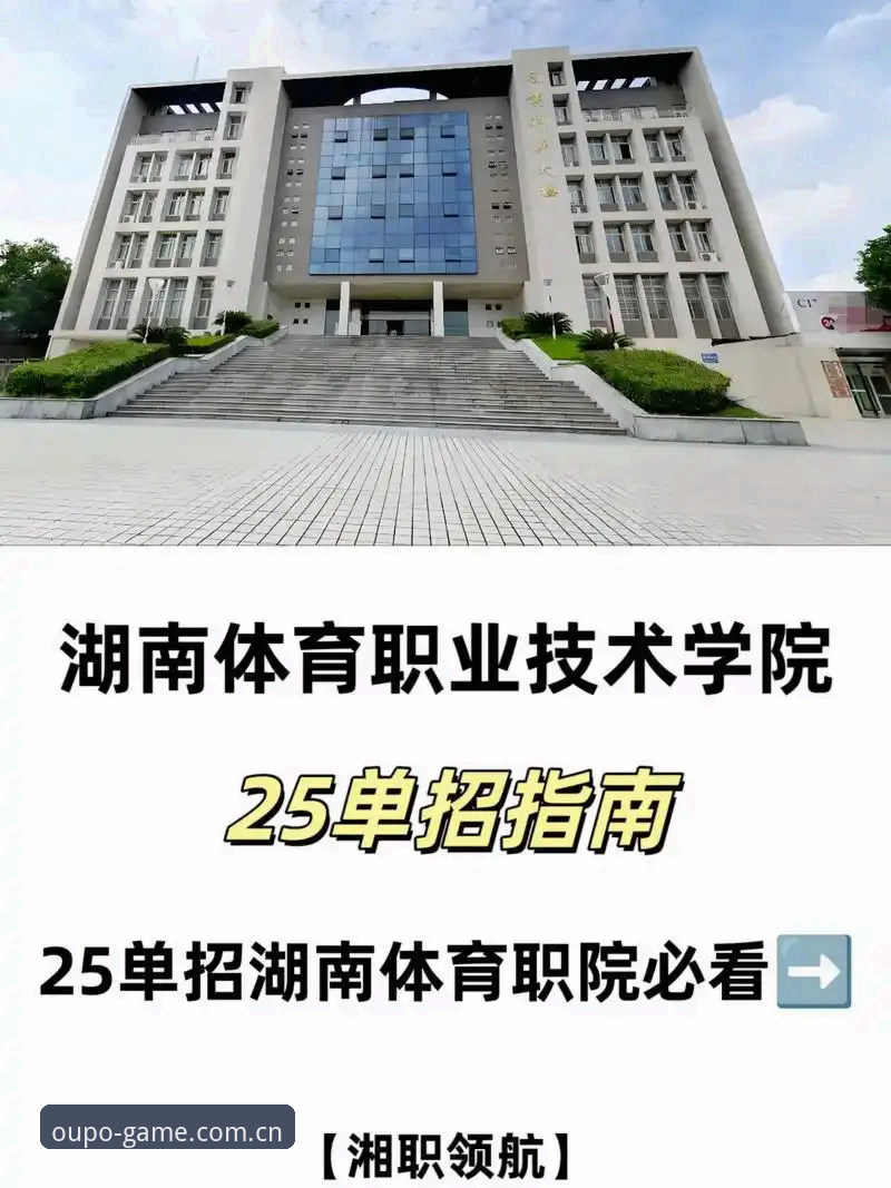 欧博体育平台2025入口实用指南：老用户教你快速找到官网登录通道
